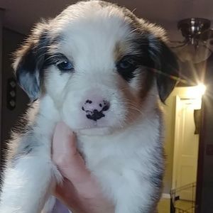 Meet your Posher, Cherity